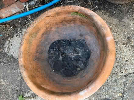 Photo of free Terracotta plant pot (Polegate BN24) #2