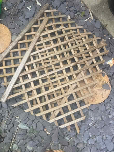 Photo of free 2 sections of trellis (Arborfield RG2) #1