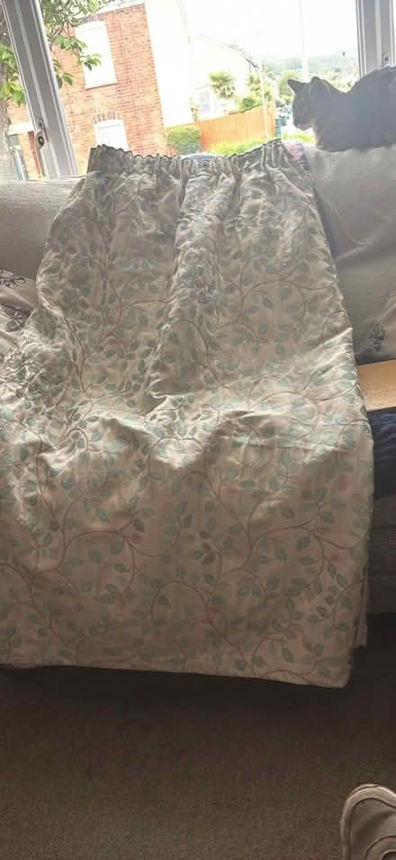 Photo of free 56x46 (hook type) curtains (Little Herberts GL53) #1