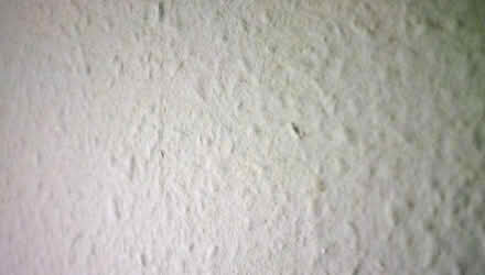 Photo of Woodchip paper (Shirley B90) #1