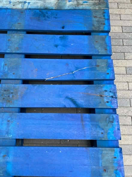 Photo of free Pallet (Chalfont St Peter) #2