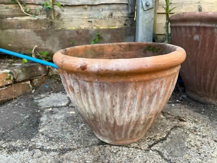 Photo of free Terracotta plant pot (Polegate BN24) #1