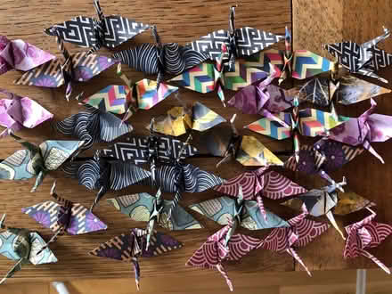 Photo of Patterned origami paper (Aldrington BN3) #1