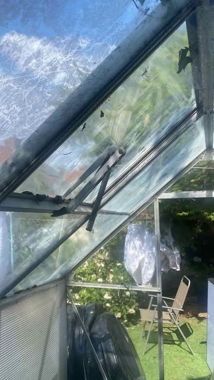 Photo of free Fabulous greenhouse (BS105SF) #4