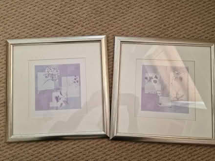 Photo of free 2 pictures in frames floral pattern (Rushden NN10) #1