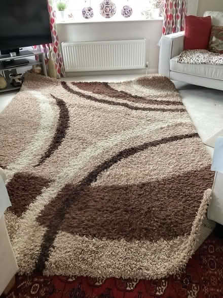 Photo of free Shaggy rug (Petersfield GU31) #1
