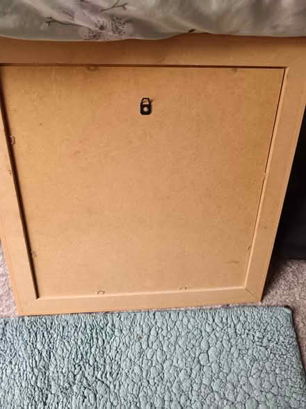 Photo of free tigger framed print (PR2) #2