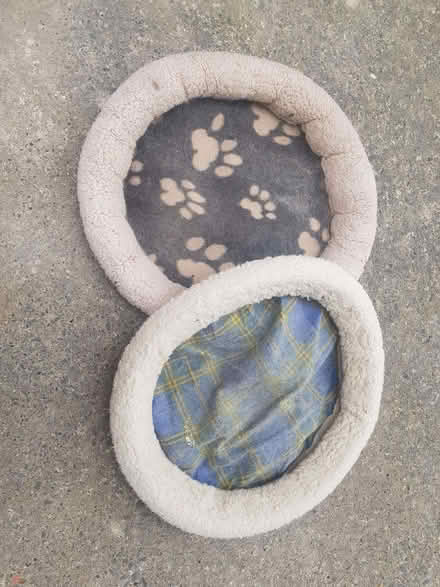 Photo of free Cat beds, used (Norton S8) #1