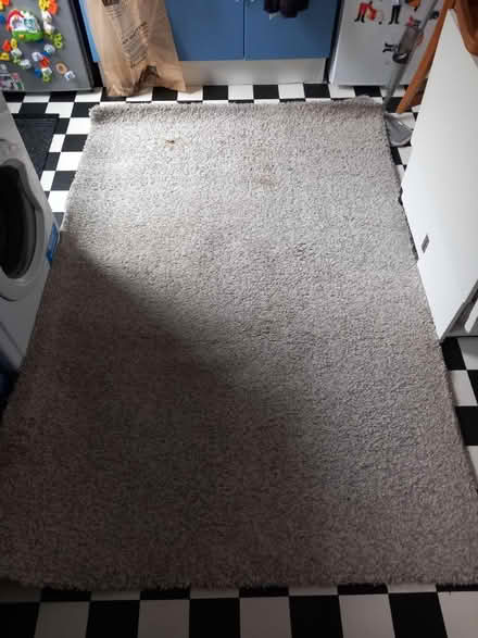 Photo of free Ikea rug (Caton) #2