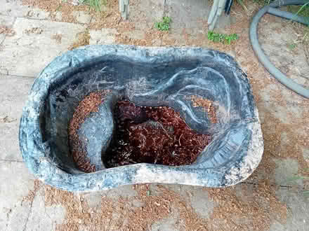 Photo of free Small pond liner (Trispen Nr Truro.) #1