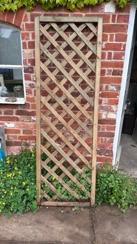 Photo of free Trellis (Woodbridge IP12) #1