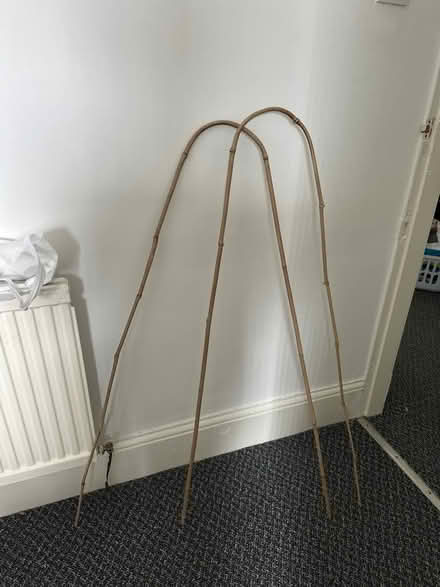 Photo of free Bamboo plant holders (Birkenhead) #1