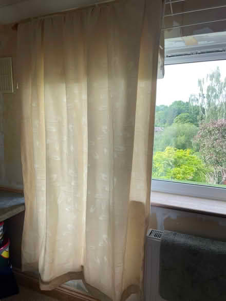 Photo of free NEW ivory full length curtains (Northaw EN6) #2