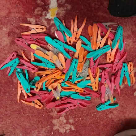 Photo of free Clothes pegs (Havant PO9) #1