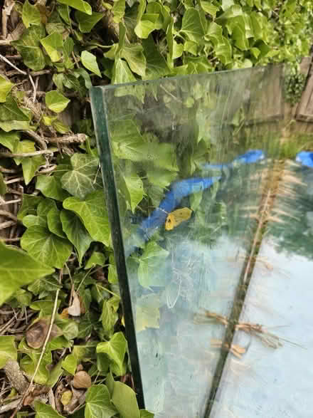 Photo of free Toughened glass panels (Tunbridge Wells TN2) #3