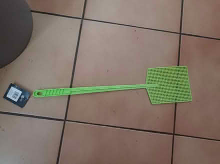 Photo of free Fly swatter (Newton CO10) #1