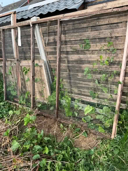 Photo of free Aviary panels (Scale Hall, Lancaster LA1) #3