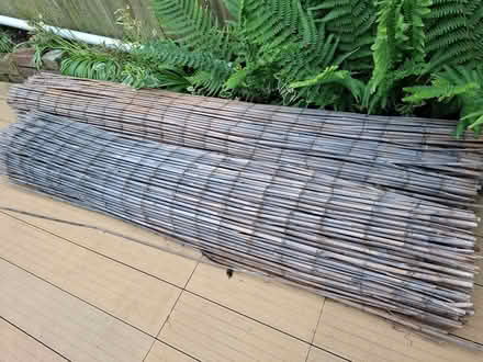 Photo of free Bamboo screening (Seaside BN23) #1