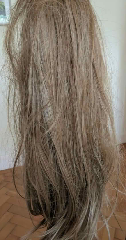 Photo of free Clip in long hair extensions (St Helens) #2