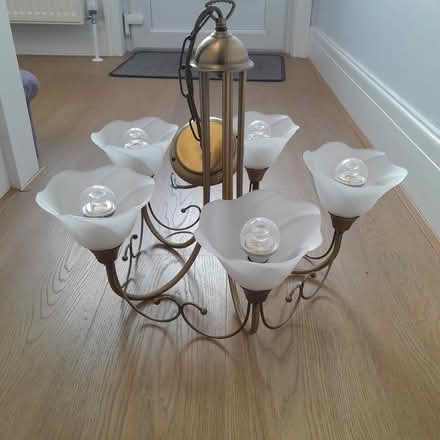 Photo of free Hanging Light (Havant PO9) #1