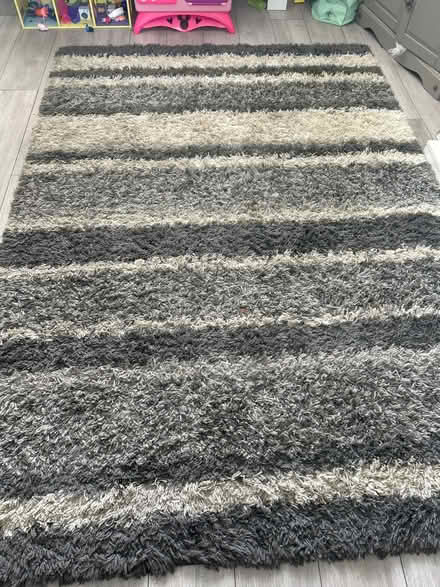 Photo of free Large rug (S6) #1