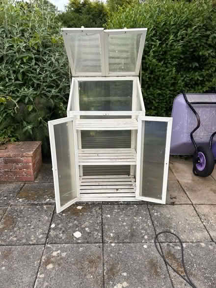 Photo of free Mini Greenhouse (Winkfield Row SL5) #2
