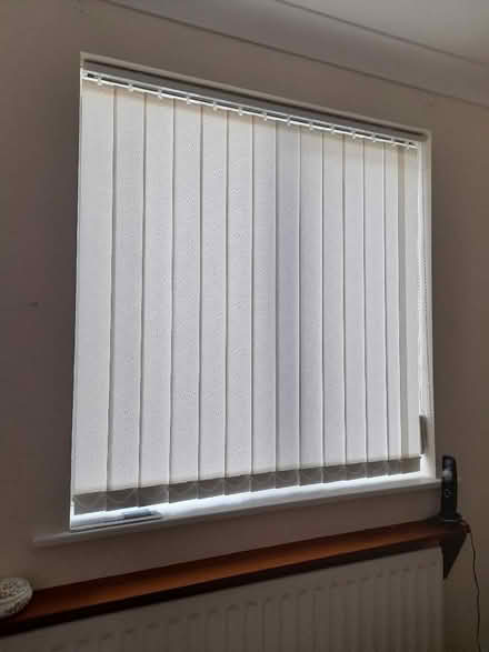 Photo of free Hillarys Vertical Blinds (Shirley CR0) #1