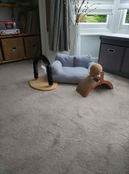 Photo of free Cat bits. sofa/scratchers (N5 Highbury) #2