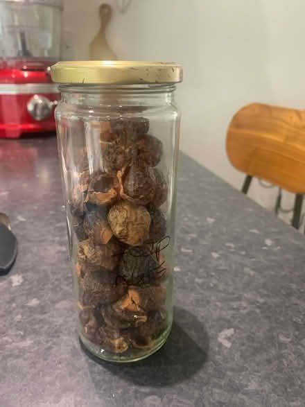 Photo of free Soap nuts (E11) #1