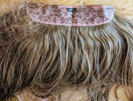 Photo of free Clip in long hair extensions (St Helens) #4