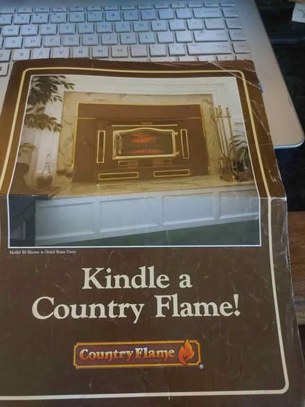 Photo of free Fireplace insert/wood burning stove (Redwood CIty) #3