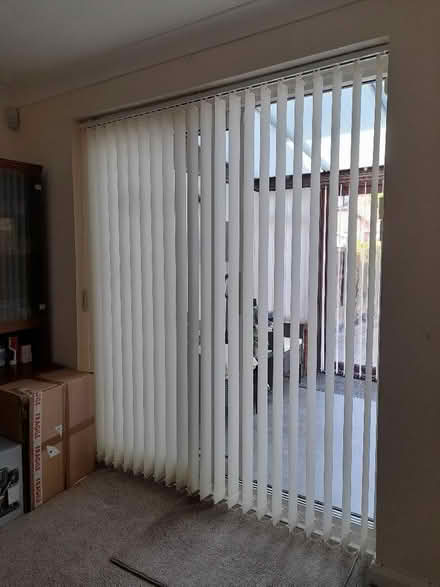 Photo of free Hillary's Vertical Blinds (Shirley CR0) #2