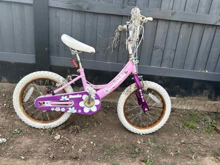 Photo of free Girls bike (Southminster CM0) #1