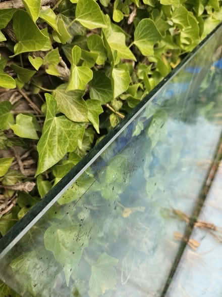 Photo of free Toughened glass panels (Tunbridge Wells TN2) #2