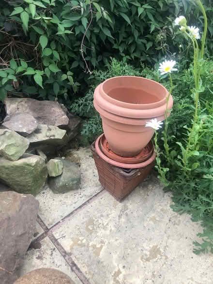 Photo of free Garden rockery stones (Wrexham) #2