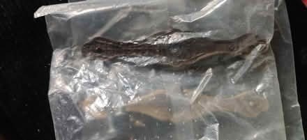 Photo of free Shreiber wardrobe handles retro (B31) #1