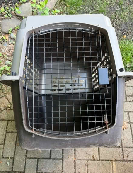 Photo of free Dog crate and metal pan (Bowie) #1