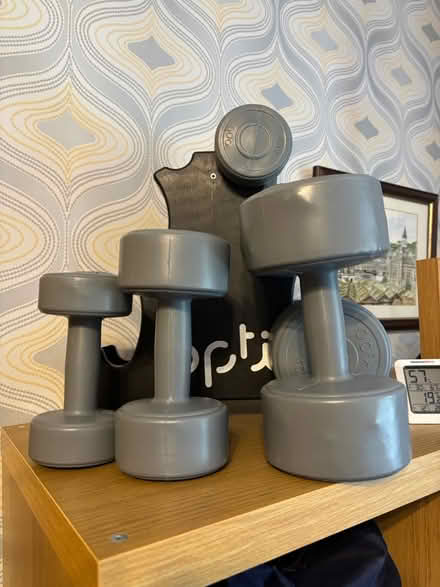 Photo of free Set of weights (Norton Lees S8) #2