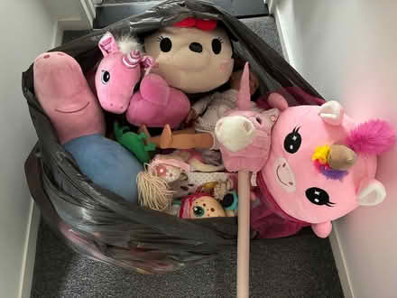 Photo of free teddies and dolls (Barownswood Way CO2) #1