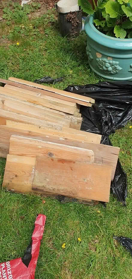 Photo of free wood for birds nests (Hengistbury Head BH6) #2