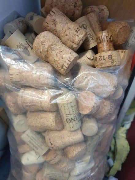 Photo of free Collection of used corks (Enfield EN1) #1