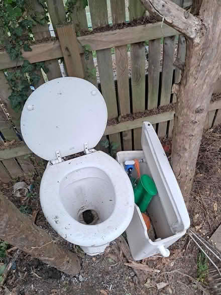 Photo of free Toilet and cistern (Cowfold) #1