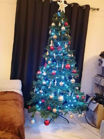 Photo of free Xmas tree (Northway OX3) #2