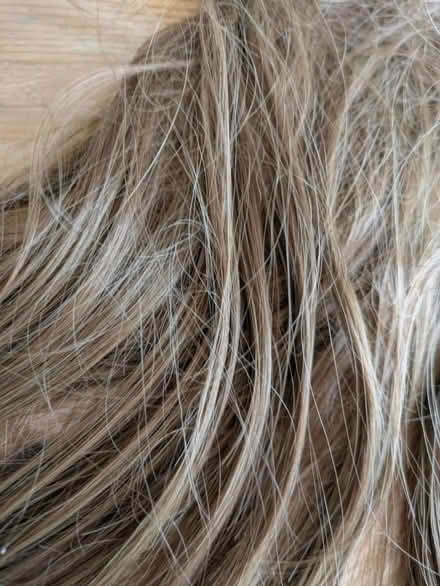 Photo of free Clip in long hair extensions (St Helens) #1