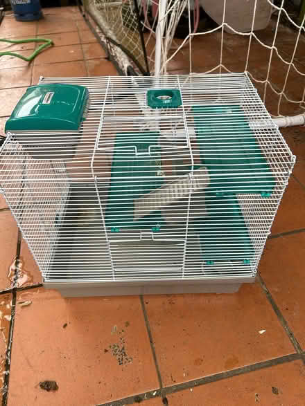 Photo of free Hamster Cage (Hampton) #1