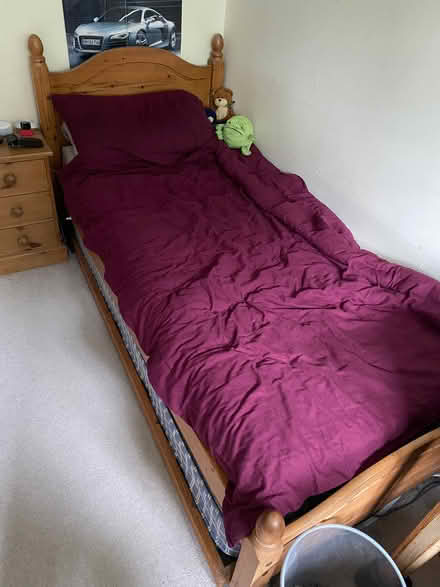 Photo of free Single bed, with push under single (Southwater RH13) #2