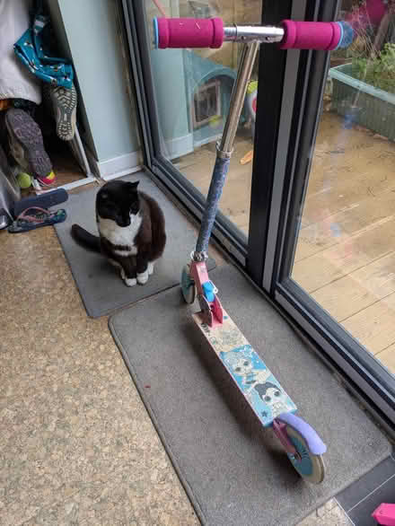 Photo of free Children's scooter (SL6 Cox Green) #2