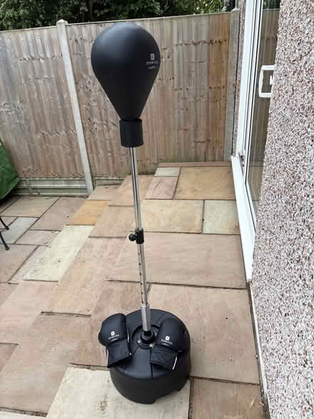 Photo of free Punchball and gloves (Shirley CR0) #1