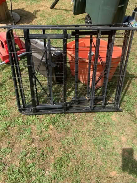 Photo of free Folding bed frames (Salisbury) #1