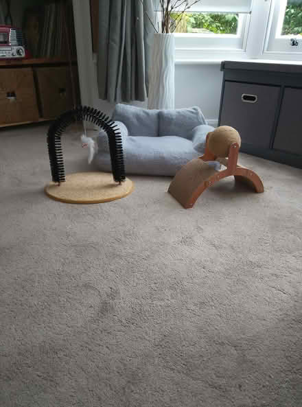 Photo of free Cat bits. sofa/scratchers (N5 Highbury) #1
